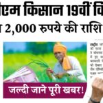 PM Kisan 19th Installment